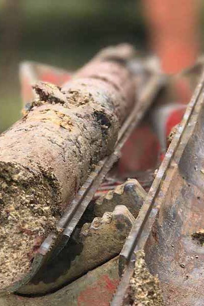 soil-samples-resized