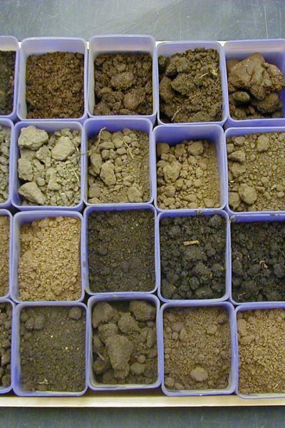 soil-samples-tray